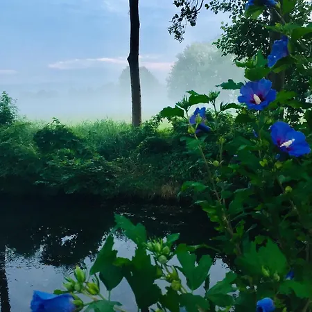 Daire Spreewaldhof Schupan - Spreewaldkahn Burg Kauper