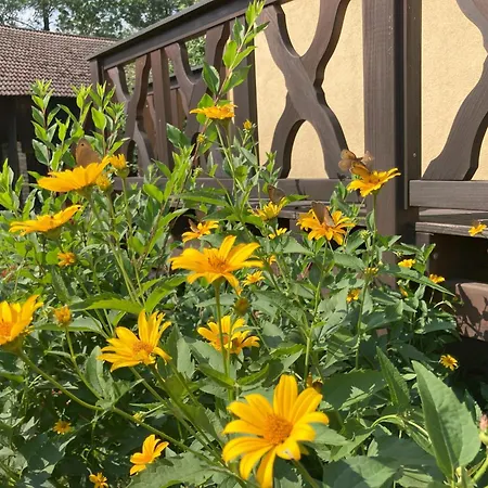 Spreewaldhof Schupan - Spreewaldkahn Daire Burg Kauper