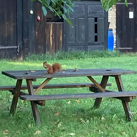 Spreewaldhof Schupan - Spreewaldkahn Daire *