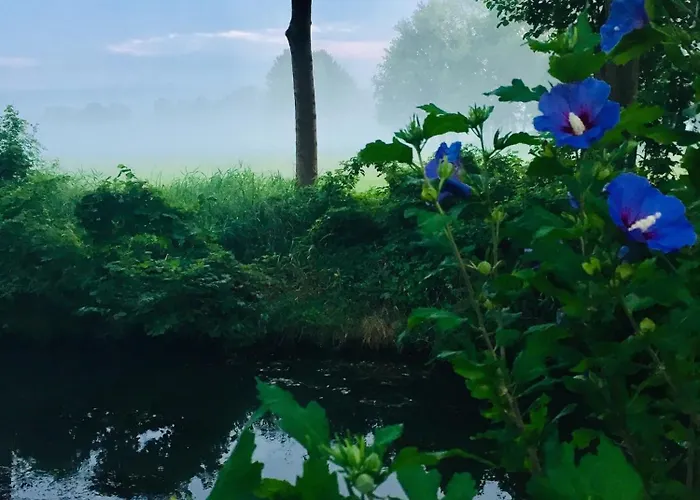 Apartamento Spreewaldhof Schupan - Spreewaldkahn Burg Kauper
