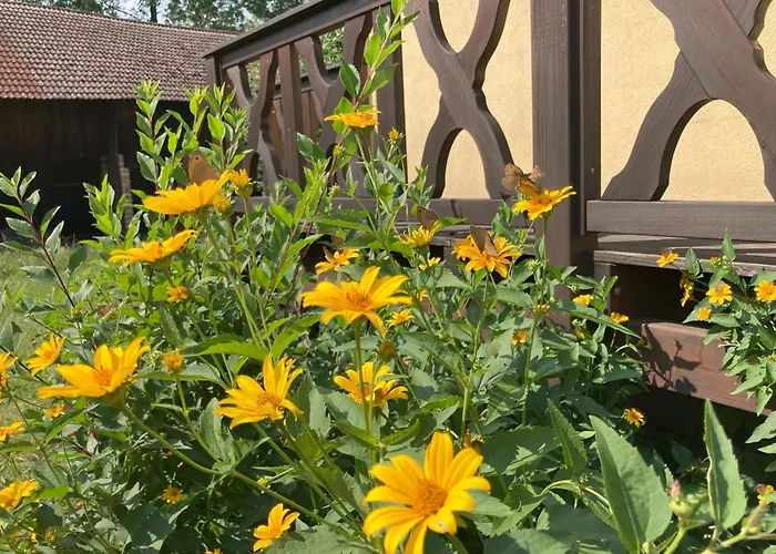 Spreewaldhof Schupan - Spreewaldkahn Daire Burg Kauper