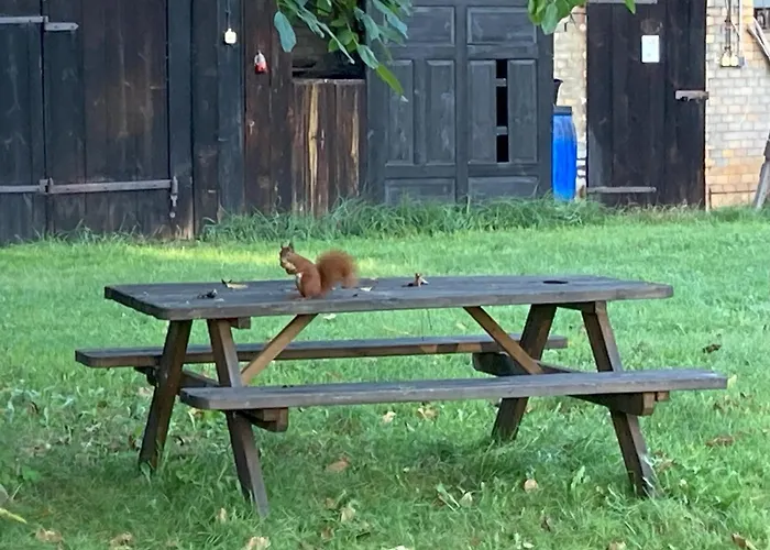 Spreewaldhof Schupan - Spreewaldkahn Daire *