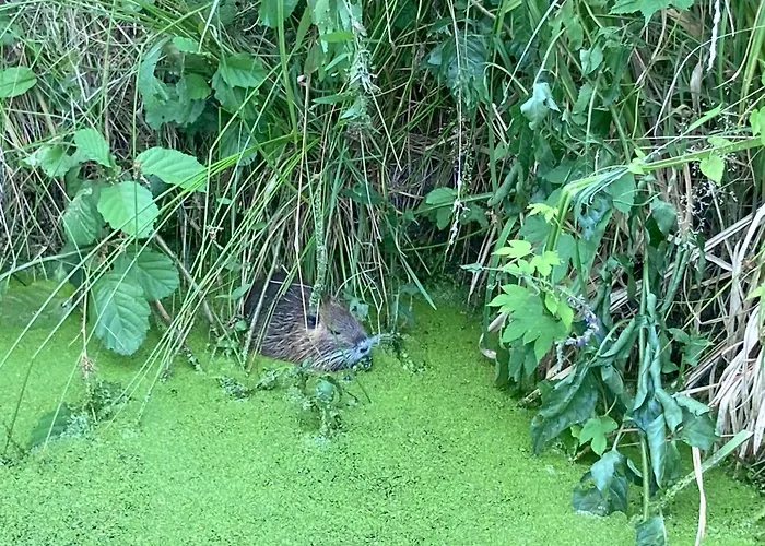 Spreewaldhof Schupan - Spreewaldkahn Apartamento Burg Kauper