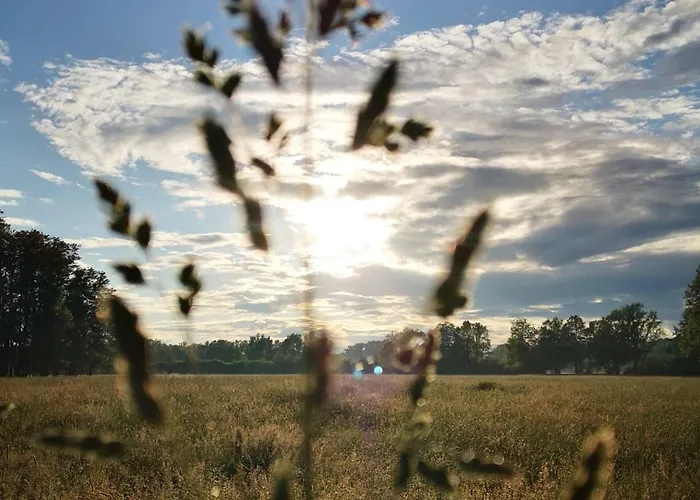 Daire Spreewaldhof Schupan - Spreewaldkahn