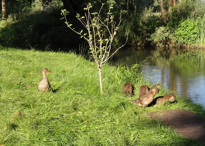 Daire Spreewaldhof Schupan - Spreewaldkahn *