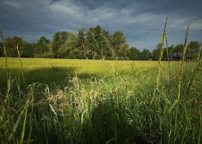 Spreewaldhof Schupan - Spreewaldkahn * Burg Kauper